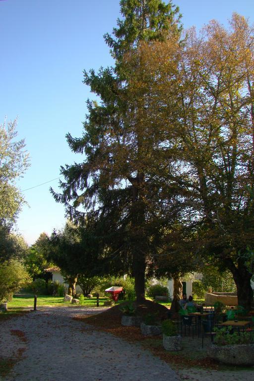 Casas Do Zagao - Turismo Rural Carregal do Sal Экстерьер фото